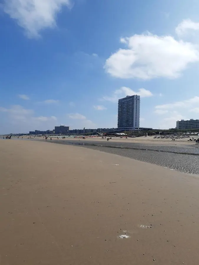 Apartment Sunny Residence Zandvoort